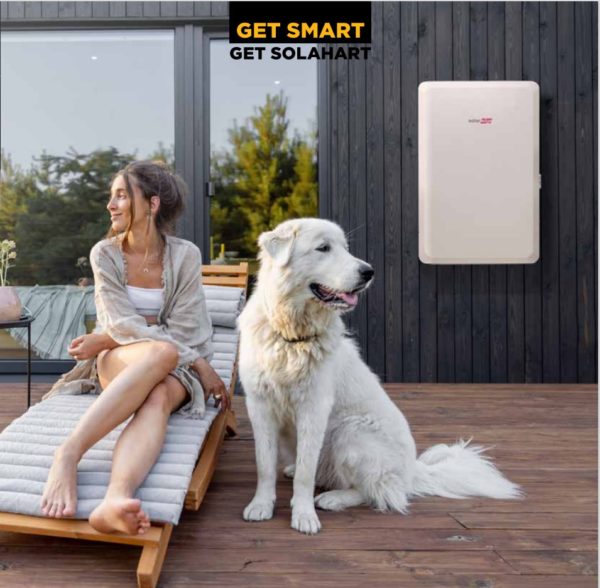 Lady and dog relaxing near a SolarEdge Home Energy Bank solar battery
